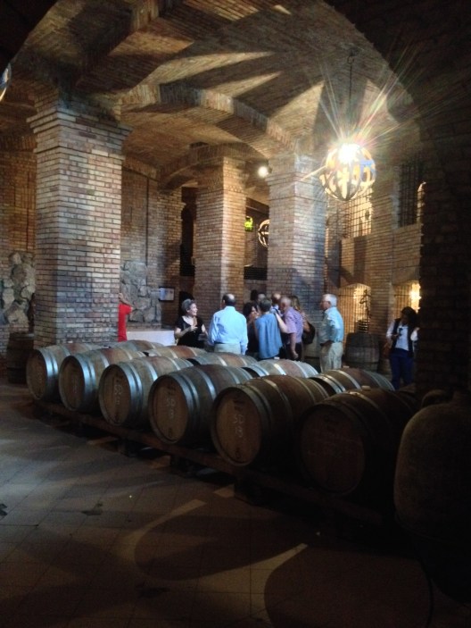 Wine+for+the+99+in+Caggiano+private+cellar